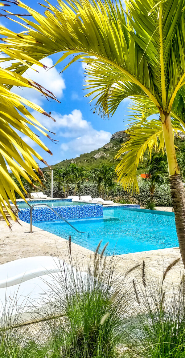 Discover how to take better photos of your vacation rental with your phone. Showcase your property, attract more guests, and boost your bookings today!